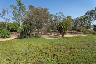 6678 Las Colinas, Rancho Santa Fe, CA 92067 - Photo 25