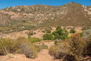 55101 State Hwy 74, Mountain Center, CA 92561 - Photo 43
