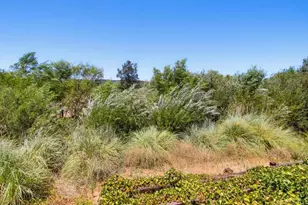 31122 Old River Rd, Bonsall, CA 92003 - Photo 49