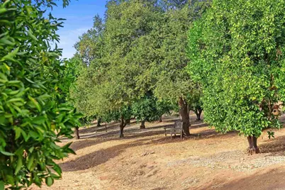 12711 Big Bend Way, Valley Center, CA 92082 - Photo 47