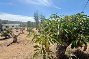1843 Canyon Heights Rd, Fallbrook, CA 92028 - Photo 31