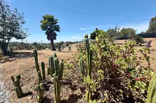 1843 Canyon Heights Rd, Fallbrook, CA 92028 - Photo 43