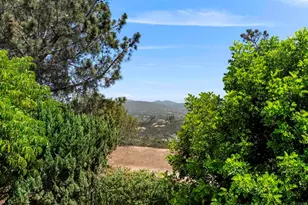 647 Lynwood Dr, Encinitas, CA 92024 - Photo 15