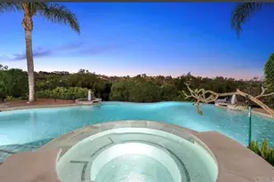 970 Dove Run Rd, Encinitas, CA 92024 - Photo 29