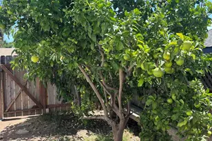 6114 Fenimore Way, San Diego, CA 92120 - Photo 23