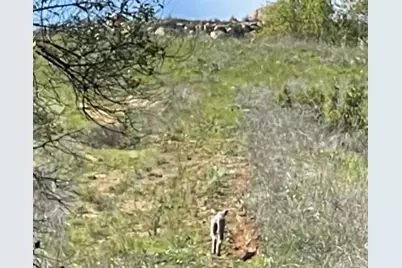 0 Vista Del Sage Road, Valley Center, CA 92082 - Photo 23