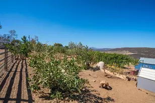 20801 N Burma Rd, Ramona, CA 92065 - Photo 41