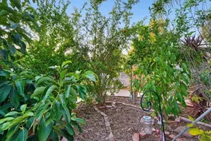 886 Singing Trails Dr, El Cajon, CA 92019 - Photo 61