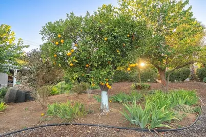 1346 Birch Avenue, Escondido, CA 92027 - Photo 41