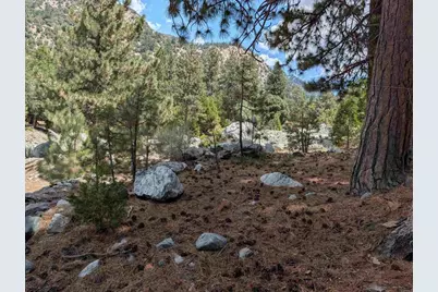 0 Island Dr, Forest Falls, CA 92339 - Photo 5