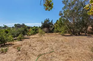 3911 Alta Vista Dr, Fallbrook, CA 92028 - Photo 49