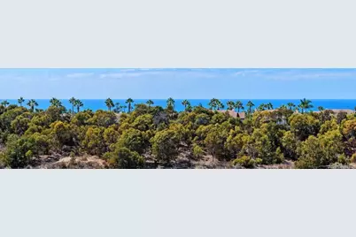 7409 Linden, Carlsbad, CA 92011 - Photo 23