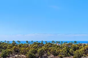 7409 Linden, Carlsbad, CA 92011 - Photo 23