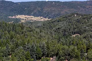 32753 Birch Hill Rd, Palomar Mountain, CA 92060 - Photo 33