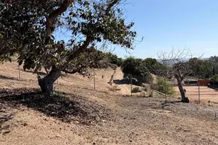 4452 Ramona Dr, Fallbrook, CA 92028 - Photo 25
