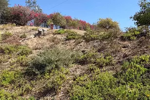 4452 Ramona Dr, Fallbrook, CA 92028 - Photo 23