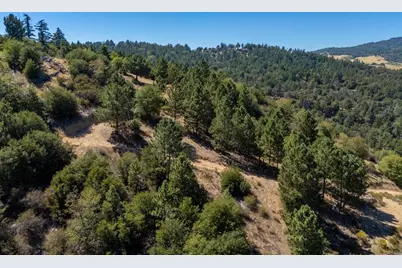61 Acres East Grade Road, Palomar Mountain, CA 92060 - Photo 25