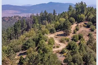 61 Acres East Grade Road, Palomar Mountain, CA 92060 - Photo 19