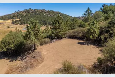 61 Acres East Grade Road, Palomar Mountain, CA 92060 - Photo 11