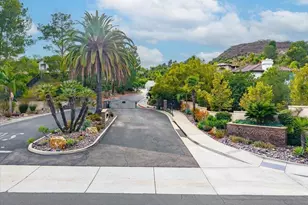 2507 Saffron, Escondido, CA 92029 - Photo 55