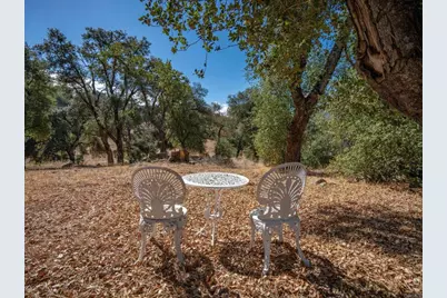 25222 Black Canyon Road, Santa Ysabel, CA 92070 - Photo 41