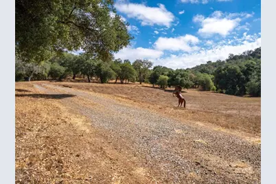 25222 Black Canyon Road, Santa Ysabel, CA 92070 - Photo 7