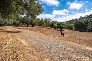 25222 Black Canyon Rd, Santa Ysabel, CA 92070 - Photo 7