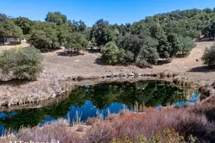 25222 Black Canyon Rd, Santa Ysabel, CA 92070 - Photo 5