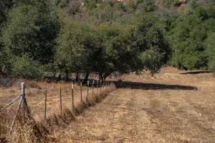 25222 Black Canyon Rd, Santa Ysabel, CA 92070 - Photo 47