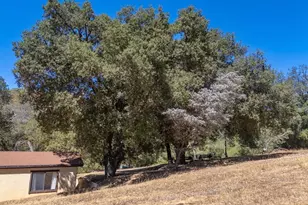 25222 Black Canyon Rd, Santa Ysabel, CA 92070 - Photo 13