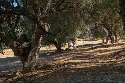 25222 Black Canyon Road, Santa Ysabel, CA 92070 - Photo 51