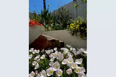 27909 Silo Lane, Valley Center, CA 92082 - Photo 9