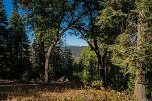 3413 Fern Meadow Rd, Palomar Mountain, CA 92060 - Photo 53