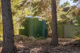 3413 Fern Meadow Rd, Palomar Mountain, CA 92060 - Photo 49