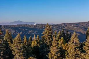 3413 Fern Meadow Rd, Palomar Mountain, CA 92060 - Photo 55