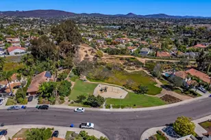 2929 Via Ipanema, Carlsbad, CA 92009 - Photo 43