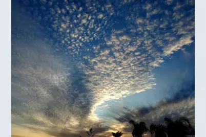 2929 Via Ipanema, Carlsbad, CA 92009 - Photo 41