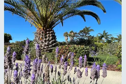 4305 Manchester Avenue, Encinitas, CA 92024 - Photo 53