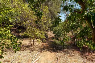 2736 Circle Dr, Escondido, CA 92029 - Photo 49