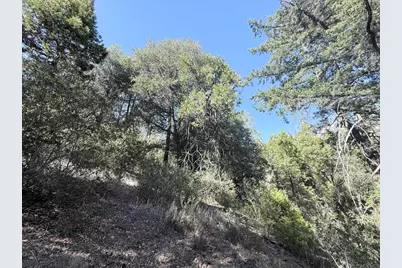 29 Acres East Grade Road, Palomar Mountain, CA 92060 - Photo 11