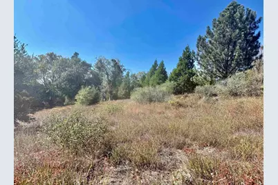 29 Acres East Grade Road, Palomar Mountain, CA 92060 - Photo 13