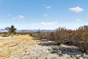 3814 Pecos Dr, Borrego Springs, CA 92004 - Photo 19