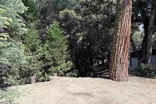 22045 Crestline Rd, Palomar Mountain, CA 92060 - Photo 39
