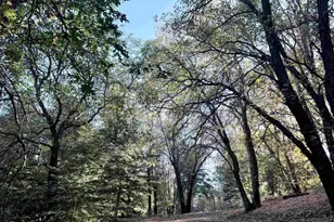 22045 Crestline Rd, Palomar Mountain, CA 92060 - Photo 43