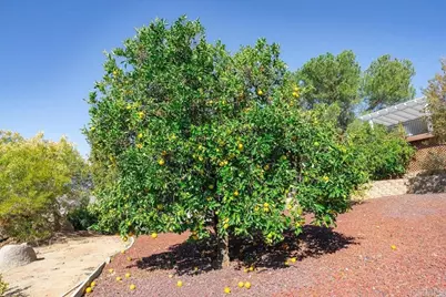 24360 Rutherford Road, Ramona, CA 92065 - Photo 29