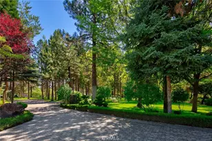 15733 Juniper Peak Rd, Weed, CA 96094 - Photo 15