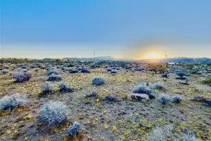 56133 Jesse Rd, Landers, CA 92285 - Photo 15