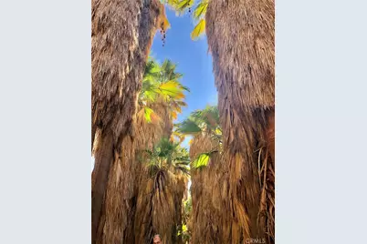 300 S Patencio Road, Palm Springs, CA 92262 - Photo 49