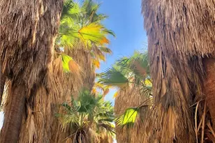 300 S Patencio Rd, Palm Springs, CA 92262 - Photo 49