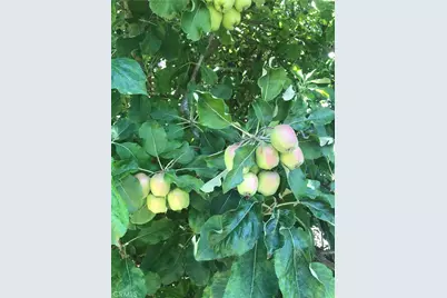 18 Paseo Canos, San Clemente, CA 92673 - Photo 21